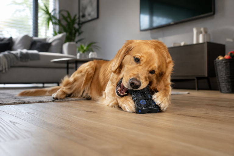 Kauwspeelgoed Hond