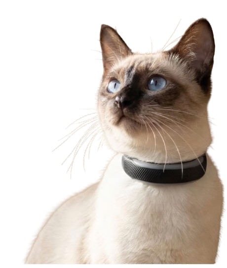 Tractive GPS Tracker voor katten