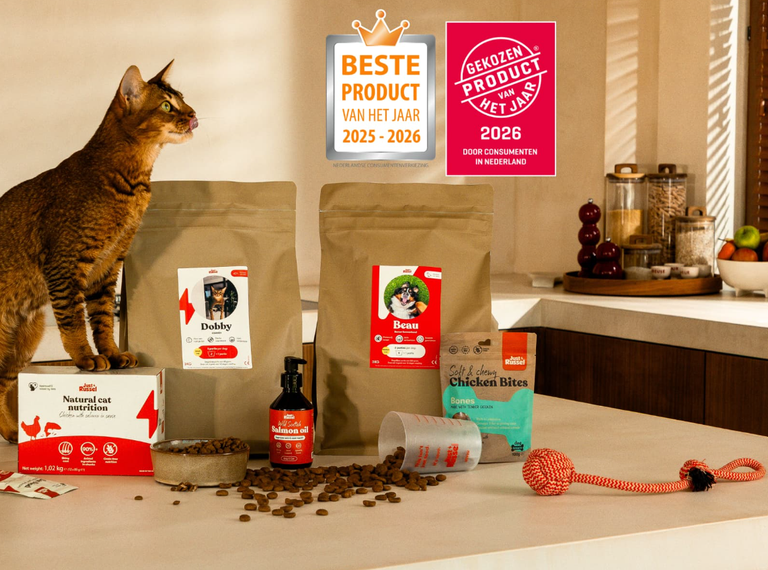 Just Russel: gepersonaliseerde voeding op maat voor jouw kat